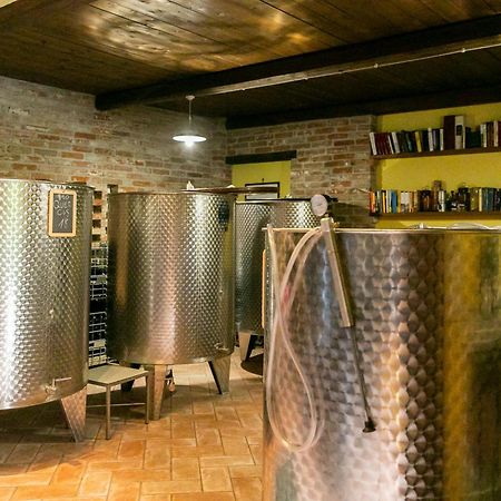 Ca Trifolera Barbaresco - Romantico Cascinale Con Antica Cantina Nel Cuore Delle Langhe - Degustazione Vini Nella Nostra Cantina Экстерьер фото