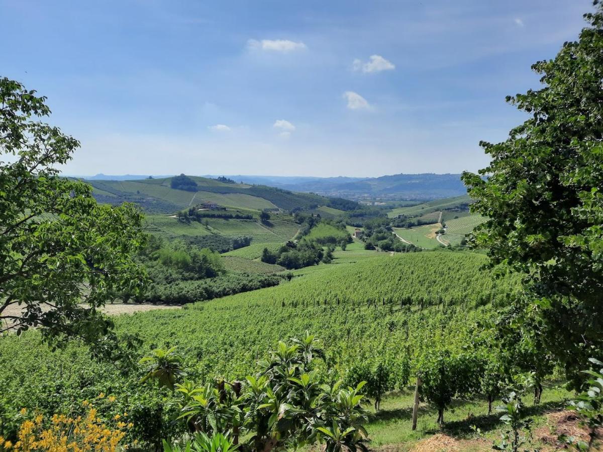 Ca Trifolera Barbaresco - Romantico Cascinale Con Antica Cantina Nel Cuore Delle Langhe - Degustazione Vini Nella Nostra Cantina Экстерьер фото