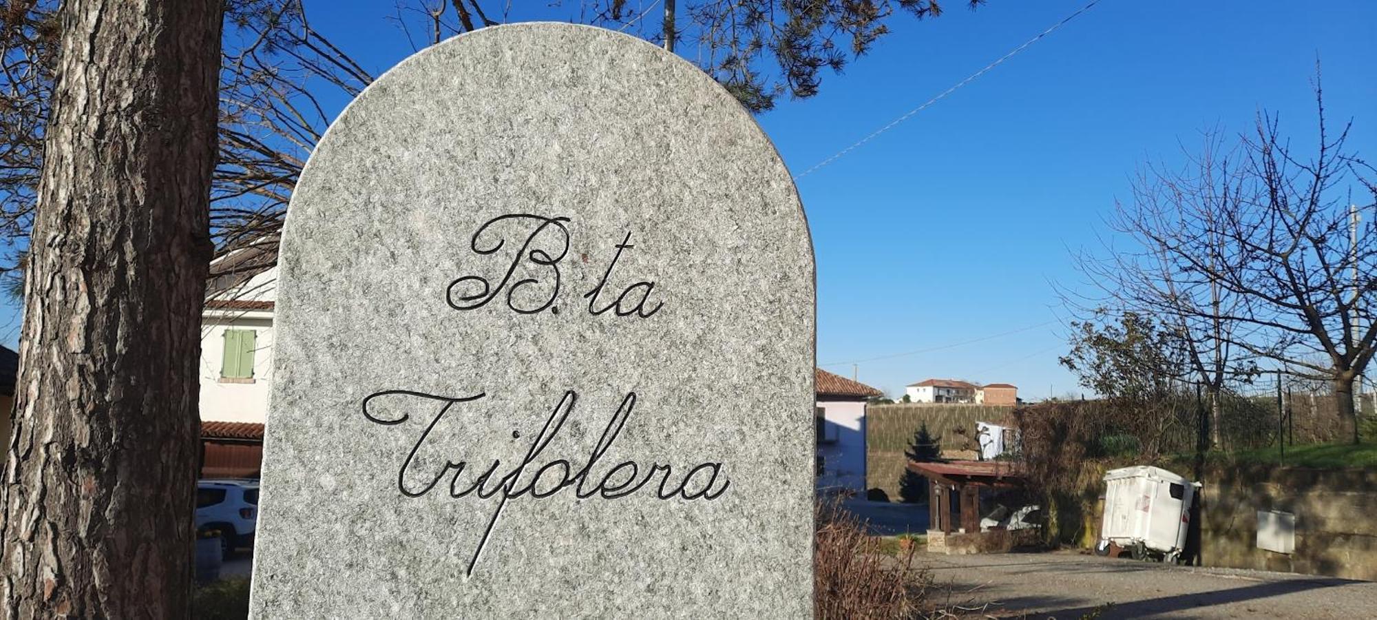 Ca Trifolera Barbaresco - Romantico Cascinale Con Antica Cantina Nel Cuore Delle Langhe - Degustazione Vini Nella Nostra Cantina Экстерьер фото