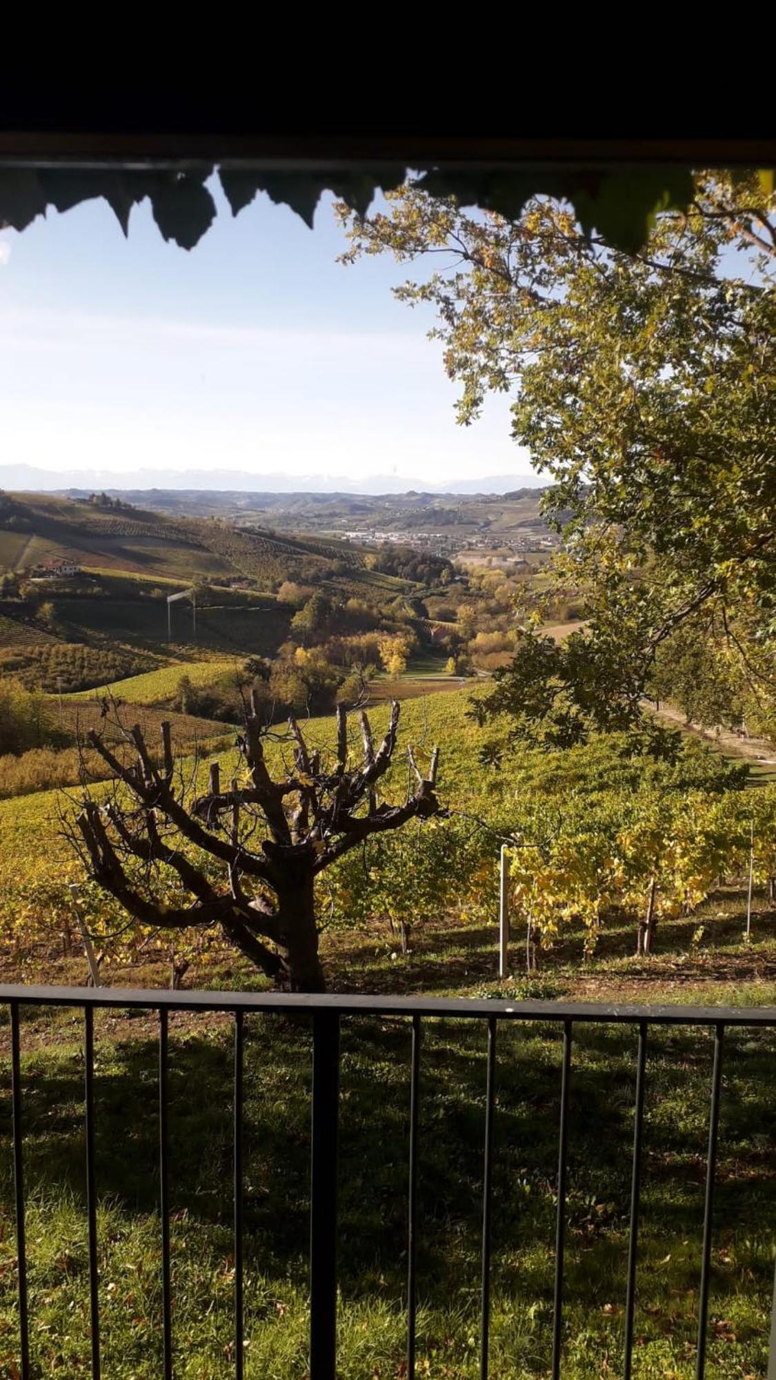 Ca Trifolera Barbaresco - Romantico Cascinale Con Antica Cantina Nel Cuore Delle Langhe - Degustazione Vini Nella Nostra Cantina Экстерьер фото
