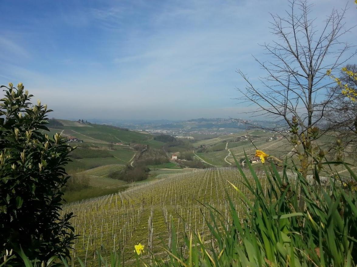 Ca Trifolera Barbaresco - Romantico Cascinale Con Antica Cantina Nel Cuore Delle Langhe - Degustazione Vini Nella Nostra Cantina Экстерьер фото
