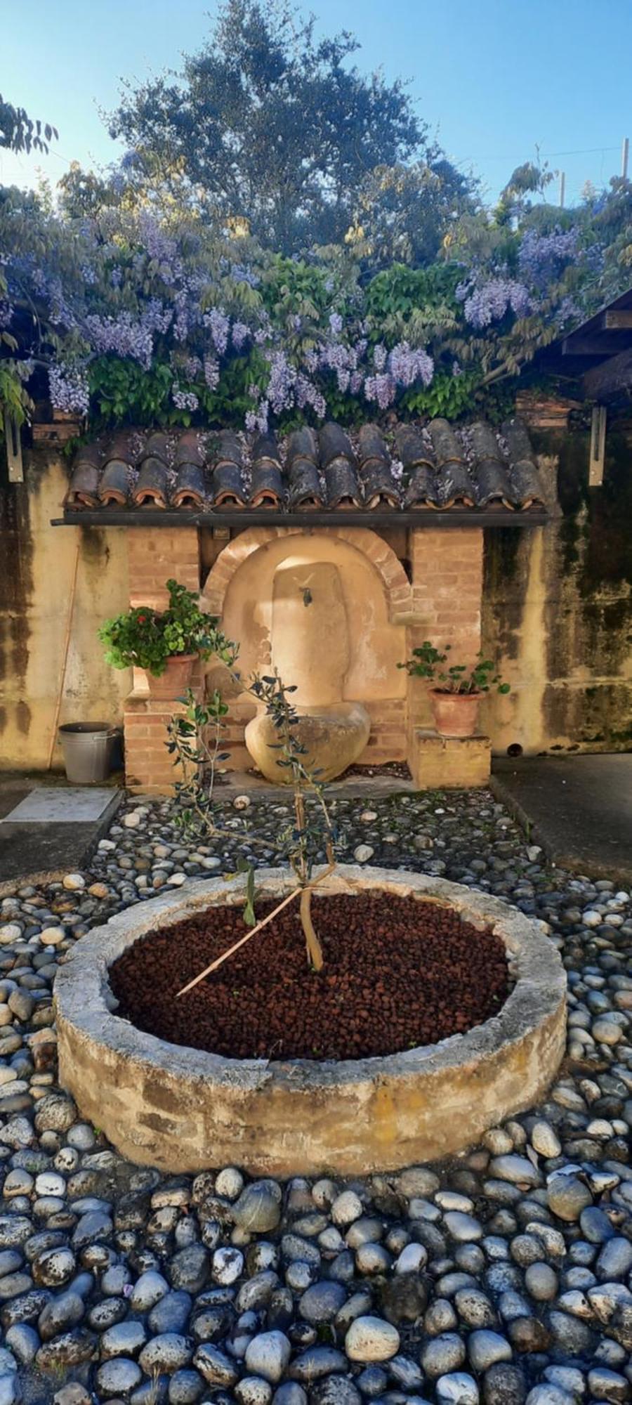 Ca Trifolera Barbaresco - Romantico Cascinale Con Antica Cantina Nel Cuore Delle Langhe - Degustazione Vini Nella Nostra Cantina Экстерьер фото