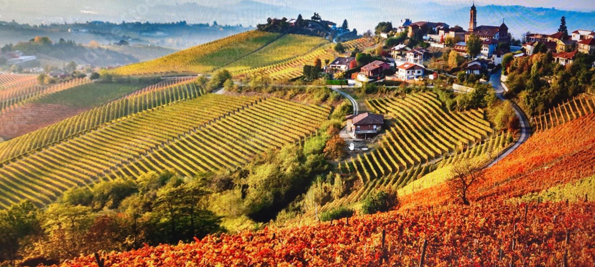 Ca Trifolera Barbaresco - Romantico Cascinale Con Antica Cantina Nel Cuore Delle Langhe - Degustazione Vini Nella Nostra Cantina Экстерьер фото
