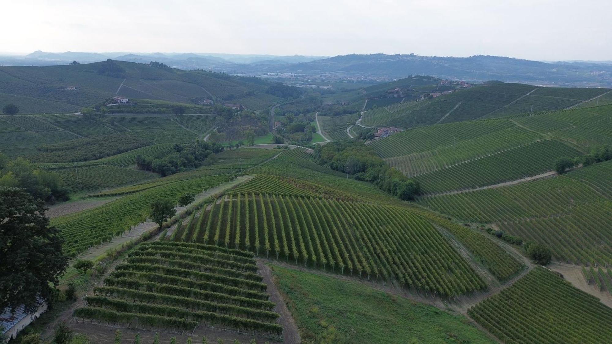 Ca Trifolera Barbaresco - Romantico Cascinale Con Antica Cantina Nel Cuore Delle Langhe - Degustazione Vini Nella Nostra Cantina Экстерьер фото