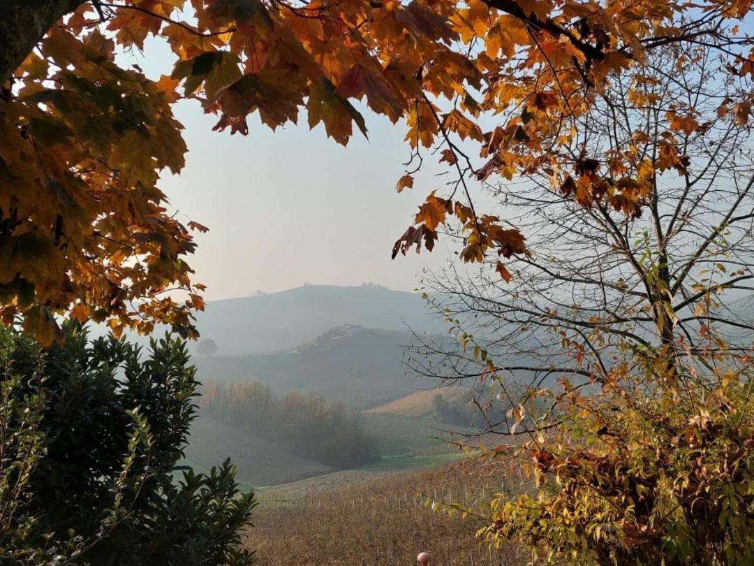 Ca Trifolera Barbaresco - Romantico Cascinale Con Antica Cantina Nel Cuore Delle Langhe - Degustazione Vini Nella Nostra Cantina Экстерьер фото